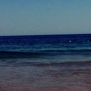 Meet your Posher, Carlee